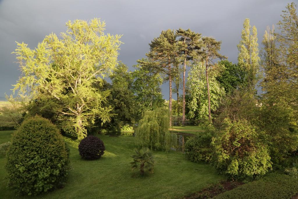 Chateau De La Flechere Bed & Breakfast Blacé Dış mekan fotoğraf
