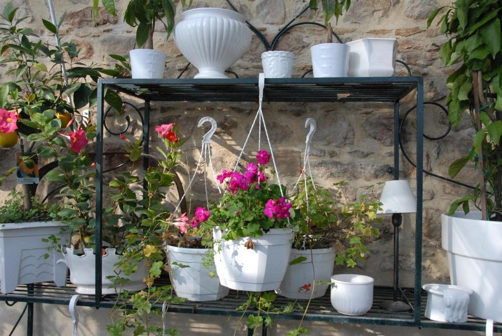 Chateau De La Flechere Bed & Breakfast Blacé Dış mekan fotoğraf